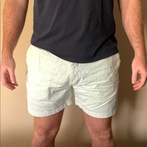 Chubbies Shorts